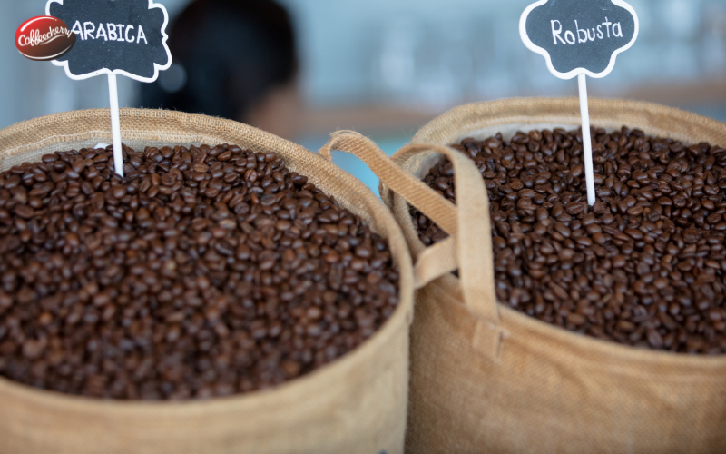 robusta-viet-nam-co-vuot-ca-phe-arabica-1 (2)